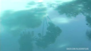 Marcia A Blonde Latina Shemale Gets Picked Up Poolside And Has Anal