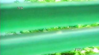 Pornographic video of my aunt Carmela on VHS - Stories of Italian housewives!