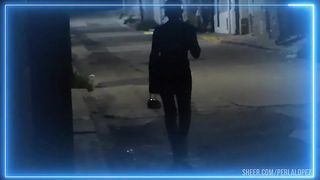 despues de trabajar en la calle la puta se hace cojer bien el culo por el macho y no se cansa de chuparle la pija