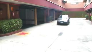 Latina Shemales Have A Threesome With A Dude Who Fucks Their Asses.