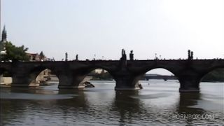 Krystal Deboor Gets Ass Fucked While Servicing Some Other Guys