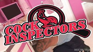 Jasmine Webb And Lissa Love In Interracial Ffm Threesome