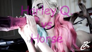 Harley Q. VS Horse