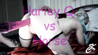 Harley Q. VS Horse
