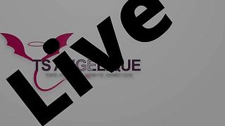 TS Angelique Monroe - I'm your fucking little cow