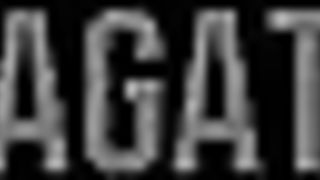 College classmates discover the pleasure of putting spiders to fight