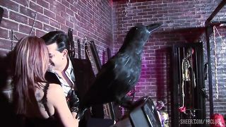 Angel and Cassie Fuck Their Classy Friend
