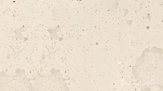 porn reality show with lesbian anal sex, strap-on, foot fetish, crossdressing and more!