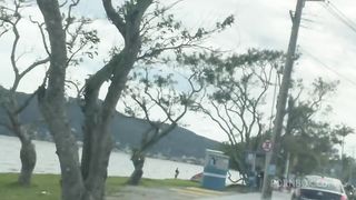 A ruiva curte levar na bunda