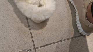 In the shoe shop we try on all the slippers