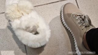 In the shoe shop we try on all the slippers