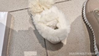 In the shoe shop we try on all the slippers
