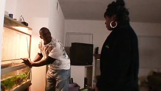Sexy Monica Foster Gives A Nice Blowjob Before Getting Laid By Her Man
