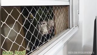 Mulher se masturba quando eu chego ela me faz um boquete e mechama para me comer o cuzinho dela