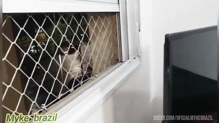 Mulher se masturba quando eu chego ela me faz um boquete e mechama para me comer o cuzinho dela