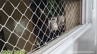 Mulher se masturba quando eu chego ela me faz um boquete e mechama para me comer o cuzinho dela