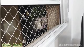 Mulher se masturba quando eu chego ela me faz um boquete e mechama para me comer o cuzinho dela