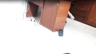 PETITE CULONA DESCUBRE A HERMANASTRO MASTURBANDOSE Y LE PRESTA EL CONO PARA LE HAGA UN DELICIOSO CREAMPIE