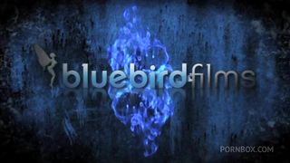 GABRIELA GLASERS ASSCATS