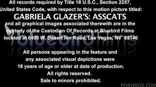 GABRIELA GLASERS ASSCATS