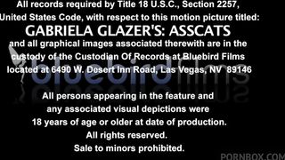 GABRIELA GLASERS ASSCATS