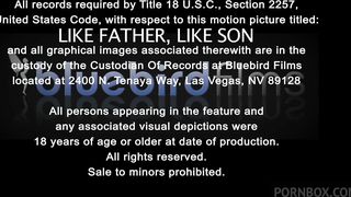 LIKE STEPFATHER LIKE STEPSON