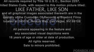 LIKE STEPFATHER LIKE STEPSON