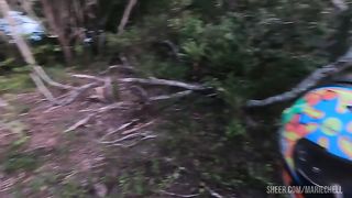 I took the maid into the woods