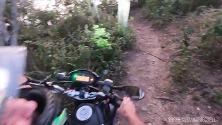 I took the maid into the woods