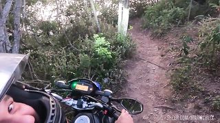 I took the maid into the woods