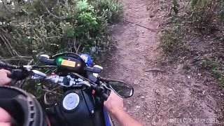 I took the maid into the woods