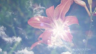 The new neighbor who arrived at the condominium is very hot and I have to give him my pussy.