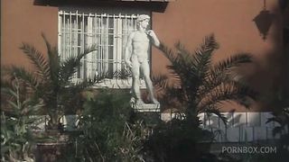 PERFECT VINTAGE ASSES AND PUSSIES TO FUCK HARD