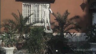 PERFECT VINTAGE ASSES AND PUSSIES TO FUCK HARD