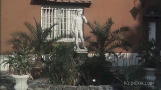 PERFECT VINTAGE ASSES AND PUSSIES TO FUCK HARD